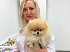 Стерилизовать или нет – вот в чем вопрос: воронежский ветеринар озвучил плюсы и минусы процедуры