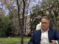 Будут ли поливать городские деревья, как и обещал мэр Кстенин, или Воронеж превратится в «злой лес»