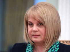 Глава ЦИК намерена встретиться с губернатором Воронежской области, чтобы «снять претензии»