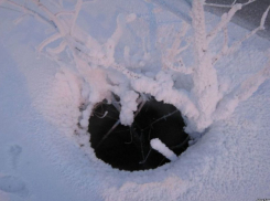 Под Воронежем маленький мальчик свалился в колодец теплотрассы