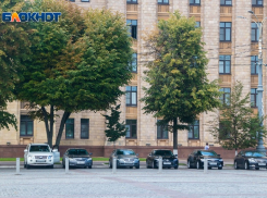 Чиновники пожертвовали служебными машинами ради борьбы с коронавирусом в Воронеже