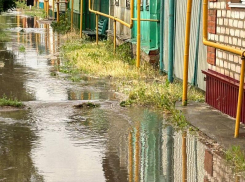 Затопленные огороды: состояние тротуара портит жизнь людям в Воронежской области