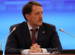 Губернатор Воронежской области будет проверять декларации о доходах всех региональных депутатов