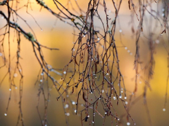 Синоптики рассказали, когда Воронеж накроют дожди