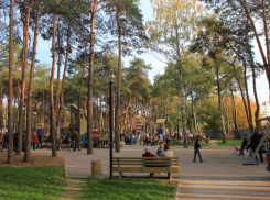 Воронежцев приглашают в «Алые Паруса» на праздник семьи, любви и верности