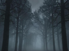 Пятница 13-е: как правильно провести этот день знакам зодиака, чтобы не навлечь проблемы