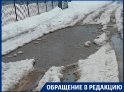 Утопающих на улицах воронежцев чиновники послали к мэру 