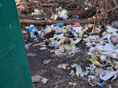 Остановки превратились в мусорку в Воронежской области