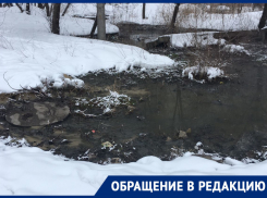 «Помогите!»: воронежец пожаловался нам и президенту на канализационный пруд 