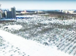 Воронежцы увидели скандальный Яблоневый сад с высоты птичьего полета