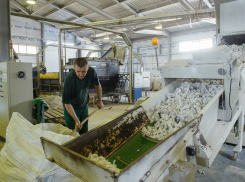 В Воронежской области начнут делать трубы из вторсырья