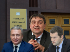 Кто настоящий политический вице-губернатор в Воронежской области