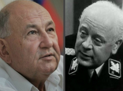 Глава Лискинского района вдруг испугался прихода популистов