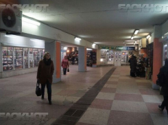 Реконструировать переход около Воронежского цирка хотят две компании