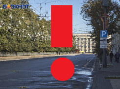 Население Воронежской области предупреждают о подступающей опасной жаре  