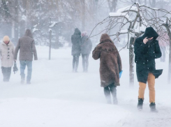 Фронтальные волны утопят Воронеж в снегу