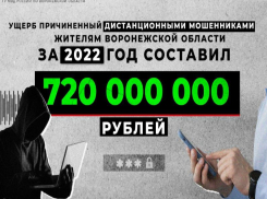 Космическую сумму перевели наивные воронежцы аферистам