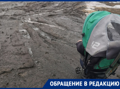 Бульвар с героическим названием превратился в неприглядное болото в Воронеже