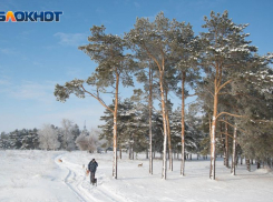 Природный заказник «Березовый яр» создают в Воронежской области
