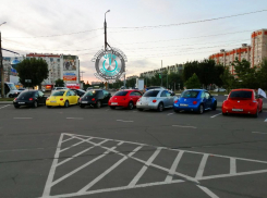 Красочный кортеж «жуков» Volkswagen сняли в Воронеже