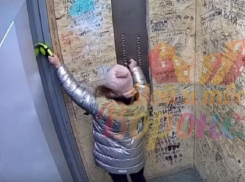 Опубликовано видео, где собака едва не погибла в спускающемся лифте в Воронеже