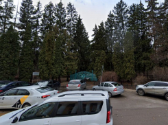 Дендрарий воронежского «лестеха» 57 лет назад стал памятником природы