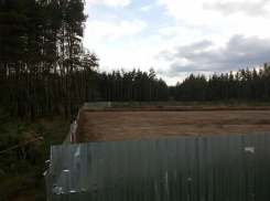 После публикации «Блокнот Воронеж» незаконной стройкой в лесу заинтересовался губернатор