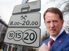 Алексей Гордеев приговорил жителей Воронежа к платным парковкам