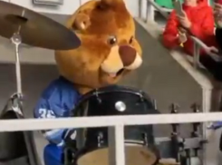 Подбобрил: воронежский талисман погнал хоккеистов вперед барабанным соло во время матча