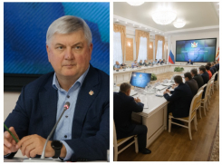 К какому решению пришли члены воронежского оперштаба во главе с Александром Гусевым 