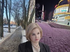«Почему город не начали чистить до мороза?» - глава ОП Наталия Хван задала властям Воронежа неудобные вопросы