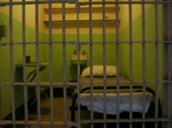 Двое жителей Воронежской области осуждены за кражу телевизора 