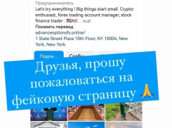 У красотки-депутата из Воронежа появился двойник