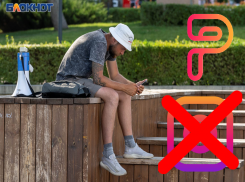 Воронежцы получат доступ к аналогу Instagram уже 28 марта