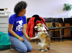 Жертва живодеров Лиса стала собакой-терапевтом (ФОТО)