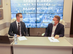 Вопрос ливневок в Воронеже планируют поднять на уровне министерства строительства