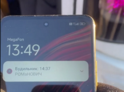 Критика общественного транспорта с неожиданной стороны прозвучала в Воронеже 