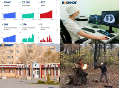 Коронавирус в Воронеже 2 ноября: новый антирекорд, время ожидания КТ и сожжение ковидного чучела