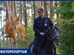 Приключения белочки с орехом во рту попали на пленку воронежского фотографа 