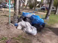 Как пятиэтажка справляется без дворника, показали на видео жители Воронежа