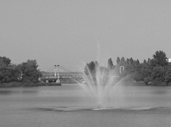 Экологическая катастрофа происходила на водохранилище в Воронеже в начале 90-х годов 