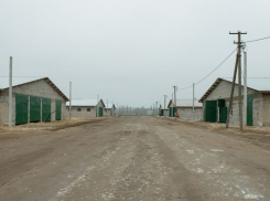 В животноводческий комплекс в Воронежской области вложат 200 млн рублей