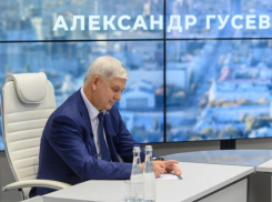 Губернатор Гусев решил создать Единую базу сырья и ресурсов Воронежской области