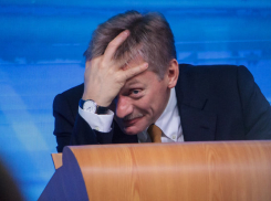 Пресс-секретарь Владимира Путина не стал комментировать критику воронежского губернатора в адрес правительства 