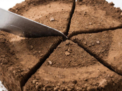 Занижение цены и распил: скандал с земельными участками под Воронежем дошел до суда