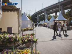 В Воронеже перенесли «Город-сад», но опрос показал другое мнение 
