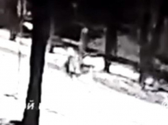 Момент наезда грузовика на двух детей попал на видео в Воронеже
