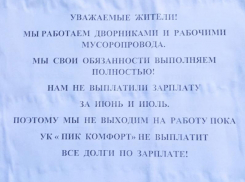 Воронежские дворники объявили забастовку 