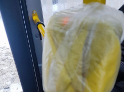 Воронежцы возмущены «забинтованными» терминалами в новых автобусах: в управлении транспорта объяснили ситуацию