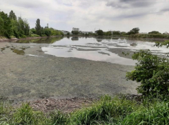 Астрономический ущерб в 5 млрд рублей причинили ЛОСы Воронежскому водохранилищу  
